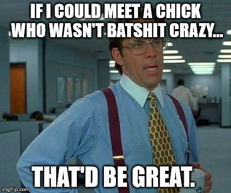 That Would Be Great | IF I COULD MEET A CHICK WHO WASN'T BATSHIT CRAZY... THAT'D BE GREAT. | image tagged in memes,that would be great | made w/ Imgflip meme maker