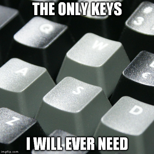 THE ONLY KEYS I WILL EVER NEED | image tagged in most gamers | made w/ Imgflip meme maker