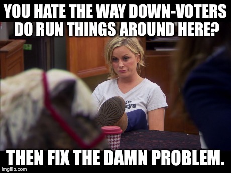 YOU HATE THE WAY DOWN-VOTERS DO RUN THINGS AROUND HERE? THEN FIX THE DAMN PROBLEM. | image tagged in un-impressed leslie knope | made w/ Imgflip meme maker