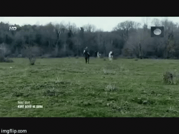 image tagged in gifs | made w/ Imgflip video-to-gif maker