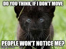 DO YOU THINK, IF I DON'T MOVE PEOPLE WON'T NOTICE ME? | image tagged in do not move | made w/ Imgflip meme maker