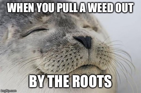 Satisfied Seal | WHEN YOU PULL A WEED OUT BY THE ROOTS | image tagged in memes,satisfied seal | made w/ Imgflip meme maker