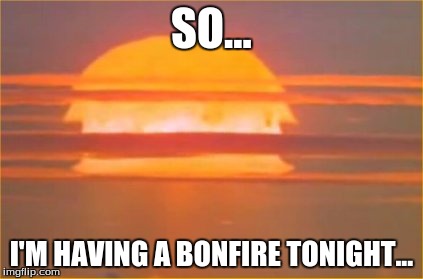 SO... I'M HAVING A BONFIRE TONIGHT... | image tagged in funny | made w/ Imgflip meme maker