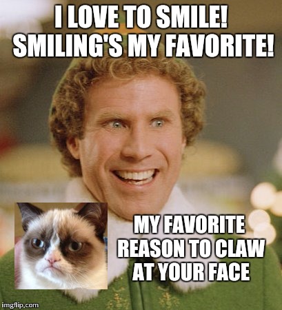 Buddy The Elf Meme | I LOVE TO SMILE! SMILING'S MY FAVORITE! MY FAVORITE REASON TO CLAW AT YOUR FACE | image tagged in memes,buddy the elf,grumpy cat | made w/ Imgflip meme maker