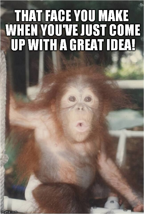 I've got a great idea! | THAT FACE YOU MAKE WHEN YOU'VE JUST COME UP WITH A GREAT IDEA! | image tagged in funny | made w/ Imgflip meme maker