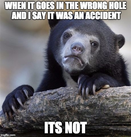 Confession Bear Meme | WHEN IT GOES IN THE WRONG HOLE AND I SAY IT WAS AN ACCIDENT ITS NOT | image tagged in memes,confession bear | made w/ Imgflip meme maker