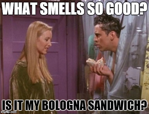 WHAT SMELLS SO GOOD? IS IT MY BOLOGNA SANDWICH? | made w/ Imgflip meme maker