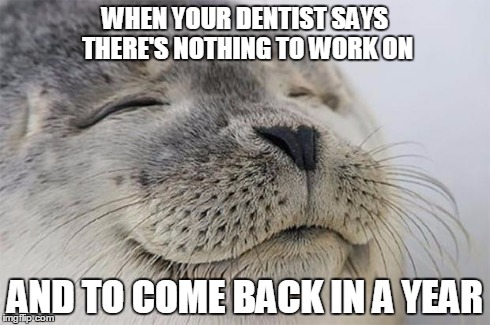 Satisfied Seal | WHEN YOUR DENTIST SAYS THERE'S NOTHING TO WORK ON AND TO COME BACK IN A YEAR | image tagged in memes,satisfied seal | made w/ Imgflip meme maker