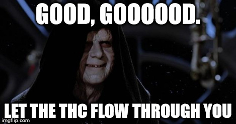 sith lord | GOOD, GOOOOOD. LET THE THC FLOW THROUGH YOU | image tagged in sith lord | made w/ Imgflip meme maker