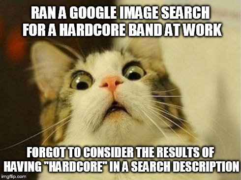 Seriously, just happened.  Expecting a call from IT any second now...... | RAN A GOOGLE IMAGE SEARCH FOR A HARDCORE BAND AT WORK FORGOT TO CONSIDER THE RESULTS OF HAVING "HARDCORE" IN A SEARCH DESCRIPTION | image tagged in memes,scared cat,funny,funny memes,google,hardcore | made w/ Imgflip meme maker
