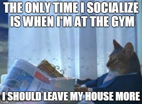 I Should Buy A Boat Cat | THE ONLY TIME I SOCIALIZE IS WHEN I'M AT THE GYM I SHOULD LEAVE MY HOUSE MORE | image tagged in memes,i should buy a boat cat | made w/ Imgflip meme maker