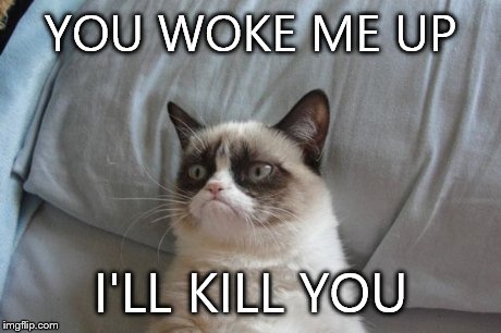 Grumpy Cat Bed Meme | YOU WOKE ME UP I'LL KILL YOU | image tagged in memes,grumpy cat bed,grumpy cat | made w/ Imgflip meme maker