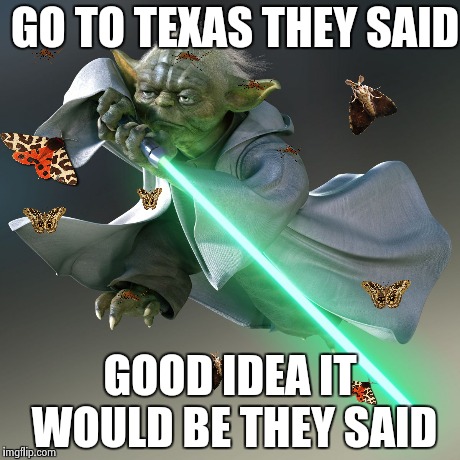 Yoda Goes To Texas | GO TO TEXAS THEY SAID GOOD IDEA IT WOULD BE THEY SAID | image tagged in memes,yoda,texas | made w/ Imgflip meme maker
