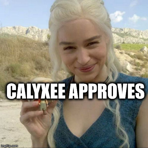 CALYXEE APPROVES | image tagged in khaleesi | made w/ Imgflip meme maker