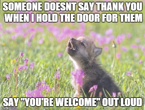 Baby Insanity Wolf | SOMEONE DOESNT SAY THANK YOU WHEN I HOLD THE DOOR FOR THEM SAY "YOU'RE WELCOME" OUT LOUD | image tagged in memes,baby insanity wolf,AdviceAnimals | made w/ Imgflip meme maker