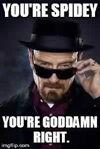 heisenberg deal with it | YOU'RE SPIDEY YOU'RE GO***MN RIGHT. | image tagged in heisenberg deal with it | made w/ Imgflip meme maker
