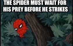 spiderman in bushes | THE SPIDER MUST WAIT FOR HIS PREY BEFORE HE STRIKES | image tagged in spiderman in bushes | made w/ Imgflip meme maker