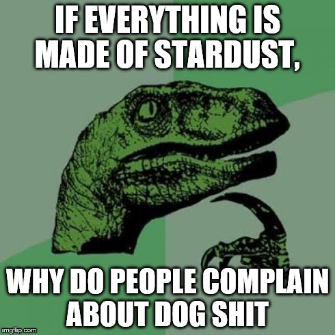 Philosoraptor | IF EVERYTHING IS MADE OF STARDUST, WHY DO PEOPLE COMPLAIN ABOUT DOG SHIT | image tagged in memes,philosoraptor | made w/ Imgflip meme maker