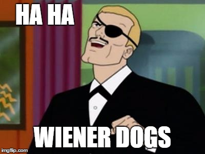 HA HA WIENER DOGS | made w/ Imgflip meme maker