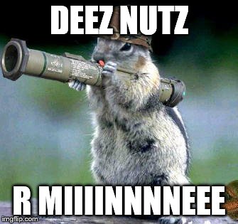 Bazooka Squirrel | DEEZ NUTZ R MIIIINNNNEEE | image tagged in memes,bazooka squirrel | made w/ Imgflip meme maker