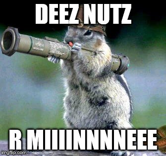 Bazooka Squirrel Meme | DEEZ NUTZ R MIIIINNNNEEE | image tagged in memes,bazooka squirrel | made w/ Imgflip meme maker