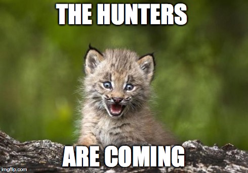 THE HUNTERS ARE COMING | image tagged in surprised lynx | made w/ Imgflip meme maker