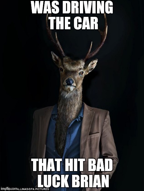 Good Luck Buck | WAS DRIVING THE CAR THAT HIT BAD LUCK BRIAN | image tagged in memes,good luck buck,bad luck brian | made w/ Imgflip meme maker