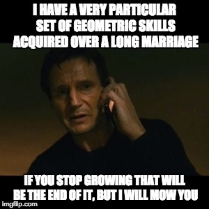 Liam Neeson Taken | I HAVE A VERY PARTICULAR SET OF GEOMETRIC SKILLS ACQUIRED OVER A LONG MARRIAGE IF YOU STOP GROWING THAT WILL BE THE END OF IT, BUT I WILL MO | image tagged in memes,liam neeson taken | made w/ Imgflip meme maker