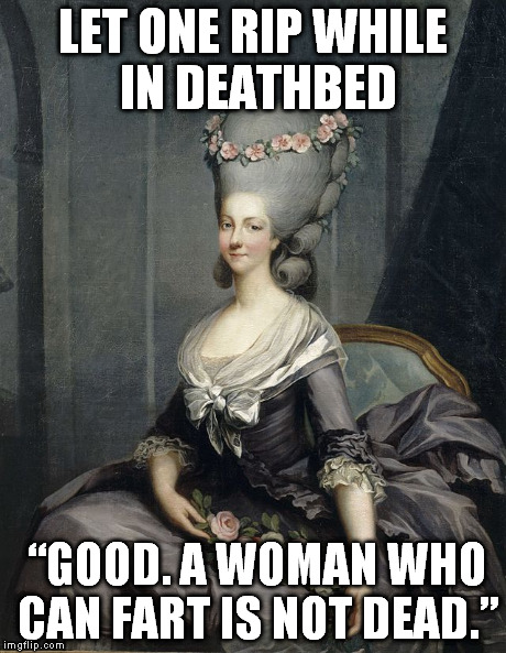 LET ONE RIP WHILE IN DEATHBED “GOOD. A WOMAN WHO CAN FART IS NOT DEAD.” | image tagged in louise-marie-thrse de saint maurice | made w/ Imgflip meme maker