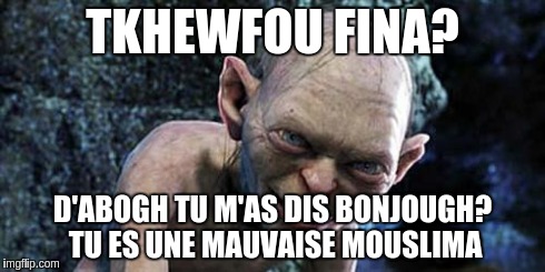 TKHEWFOU FINA? D'ABOGH TU M'AS DIS BONJOUGH? TU ES UNE MAUVAISE MOUSLIMA | made w/ Imgflip meme maker