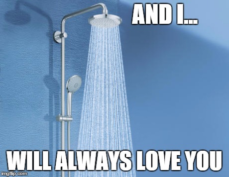 AND I... WILL ALWAYS LOVE YOU | image tagged in bonnaroo | made w/ Imgflip meme maker