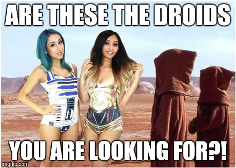 ARE THESE THE DROIDS YOU ARE LOOKING FOR?! | image tagged in star wars,droids,star wars fan,star wars where are you taking this | made w/ Imgflip meme maker