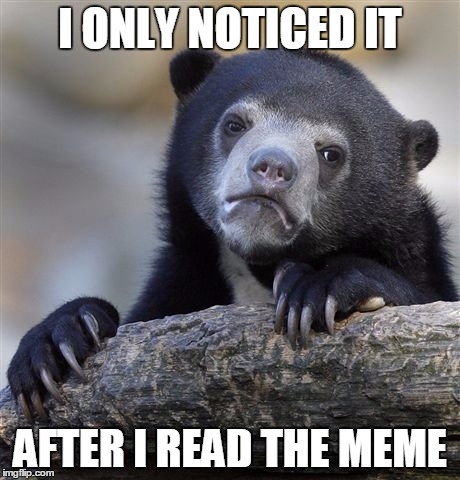 Confession Bear Meme | I ONLY NOTICED IT AFTER I READ THE MEME | image tagged in memes,confession bear | made w/ Imgflip meme maker