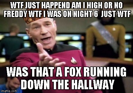 Picard Wtf Meme | WTF JUST HAPPEND AM I HIGH OR NO FREDDY WTF I WAS ON NIGHT 6  JUST WTF WAS THAT A FOX RUNNING DOWN THE HALLWAY | image tagged in memes,picard wtf,scumbag | made w/ Imgflip meme maker