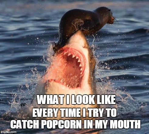 Travelonshark | WHAT I LOOK LIKE EVERY TIME I TRY TO CATCH POPCORN IN MY MOUTH | image tagged in memes,travelonshark | made w/ Imgflip meme maker