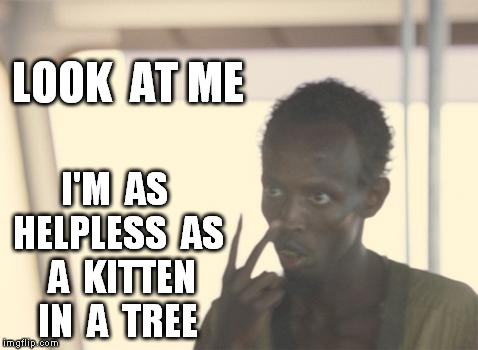 I'm The Captain Now | LOOK  AT ME I'M  AS HELPLESS  AS  A  KITTEN IN  A  TREE | image tagged in memes,i'm the captain now | made w/ Imgflip meme maker