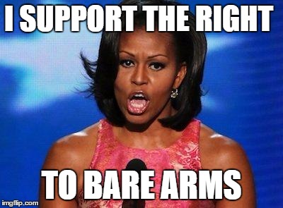 Don't tread on me | I SUPPORT THE RIGHT TO BARE ARMS | image tagged in michelle a wanda | made w/ Imgflip meme maker