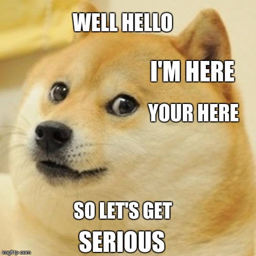 Doge Meme | WELL HELLO I'M HERE YOUR HERE SO LET'S GET SERIOUS | image tagged in memes,doge | made w/ Imgflip meme maker