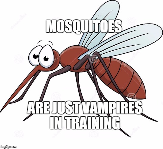 cute mosquito | MOSQUITOES ARE JUST VAMPIRES IN TRAINING | image tagged in cute mosquito | made w/ Imgflip meme maker