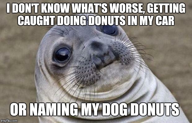 Awkward Moment Sealion Meme | I DON'T KNOW WHAT'S WORSE, GETTING CAUGHT DOING DONUTS IN MY CAR OR NAMING MY DOG DONUTS | image tagged in memes,awkward moment sealion | made w/ Imgflip meme maker