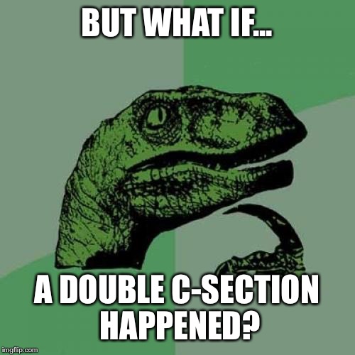 BUT WHAT IF... A DOUBLE C-SECTION HAPPENED? | image tagged in memes,philosoraptor | made w/ Imgflip meme maker