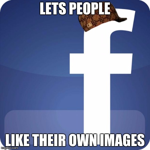 facebook | LETS PEOPLE LIKE THEIR OWN IMAGES | image tagged in facebook,scumbag | made w/ Imgflip meme maker