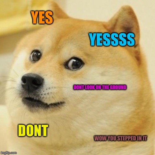 Doge | YES YESSSS DONT LOOK ON THE GROUND DONT WOW YOU STEPPED IN IT | image tagged in memes,doge | made w/ Imgflip meme maker