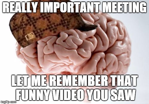 Scumbag Brain | REALLY IMPORTANT MEETING LET ME REMEMBER THAT FUNNY VIDEO YOU SAW | image tagged in memes,scumbag brain | made w/ Imgflip meme maker