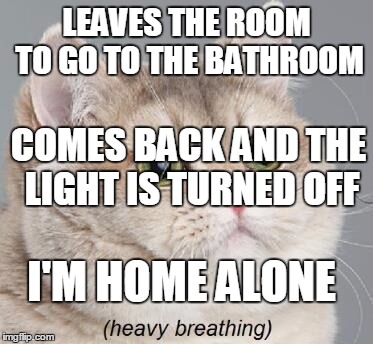 Heavy Breathing Cat | LEAVES THE ROOM TO GO TO THE BATHROOM COMES BACK AND THE LIGHT IS TURNED OFF I'M HOME ALONE | image tagged in memes,heavy breathing cat | made w/ Imgflip meme maker