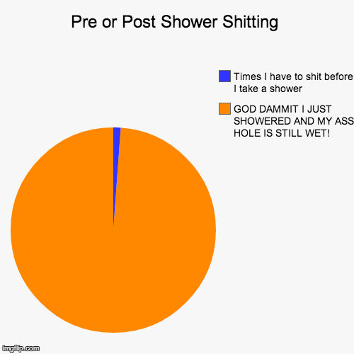 Pre or Post Shower Shitting GOD DAMMIT I JUST SHOWERED AND MY ASS HOLE IS STILL WET! Times I have to shit before I take a shower | image tagged in funny,pie charts | made w/ Imgflip chart maker