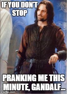 IF YOU DON'T STOP PRANKING ME THIS MINUTE, GANDALF... | image tagged in aragorn - this instant | made w/ Imgflip meme maker