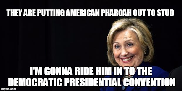 Hillary hasn't ridden a good stud in quite some time | THEY ARE PUTTING AMERICAN PHAROAH OUT TO STUD I'M GONNA RIDE HIM IN TO THE DEMOCRATIC PRESIDENTIAL CONVENTION | image tagged in hillary,memes,american pharoah | made w/ Imgflip meme maker