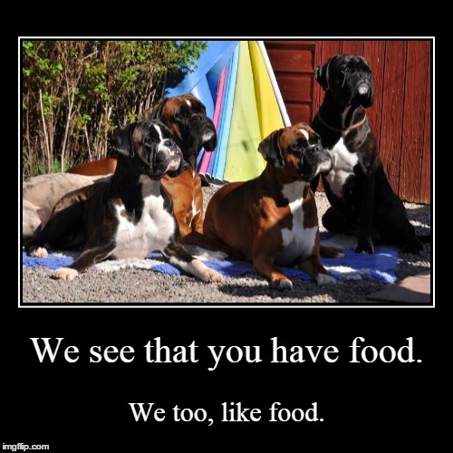 Dinner time? | image tagged in funny,demotivationals,boxer | made w/ Imgflip demotivational maker