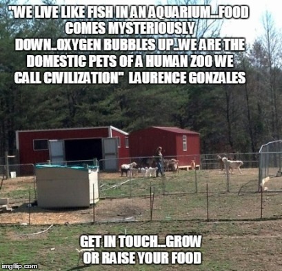 Escape the human zoo..grow your food | image tagged in homestead,self sufficient | made w/ Imgflip meme maker
